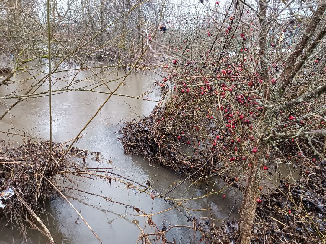 Можайск, МожайскийГородскойОкруг, Подмосковье, ЧП, Подтопления, Глава, ГидрологическиеПосты