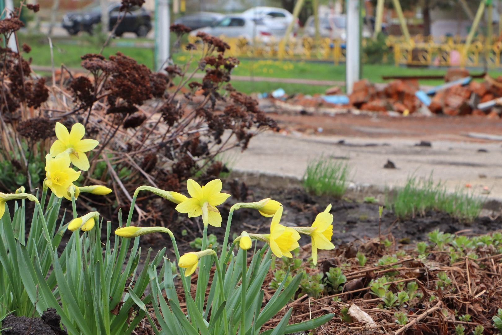 национальный проект, образование, капремонт, детский сад Журавушка, Серебряные Пруды,