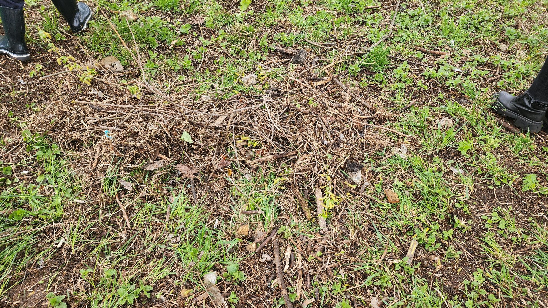 Реутов, субботник, чистый город, грабли, лопаты, листва, мусор,