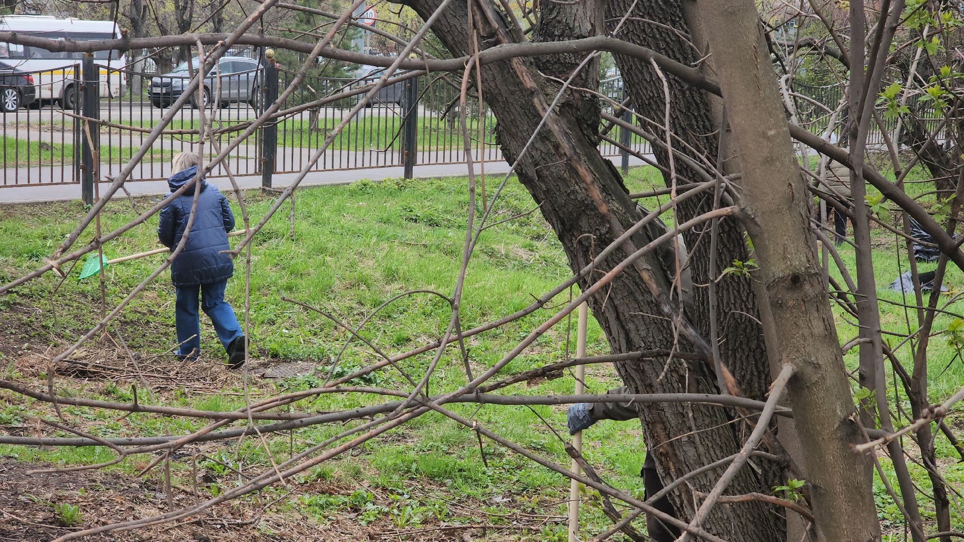 Реутов, субботник, чистый город, грабли, лопаты, листва, мусор,