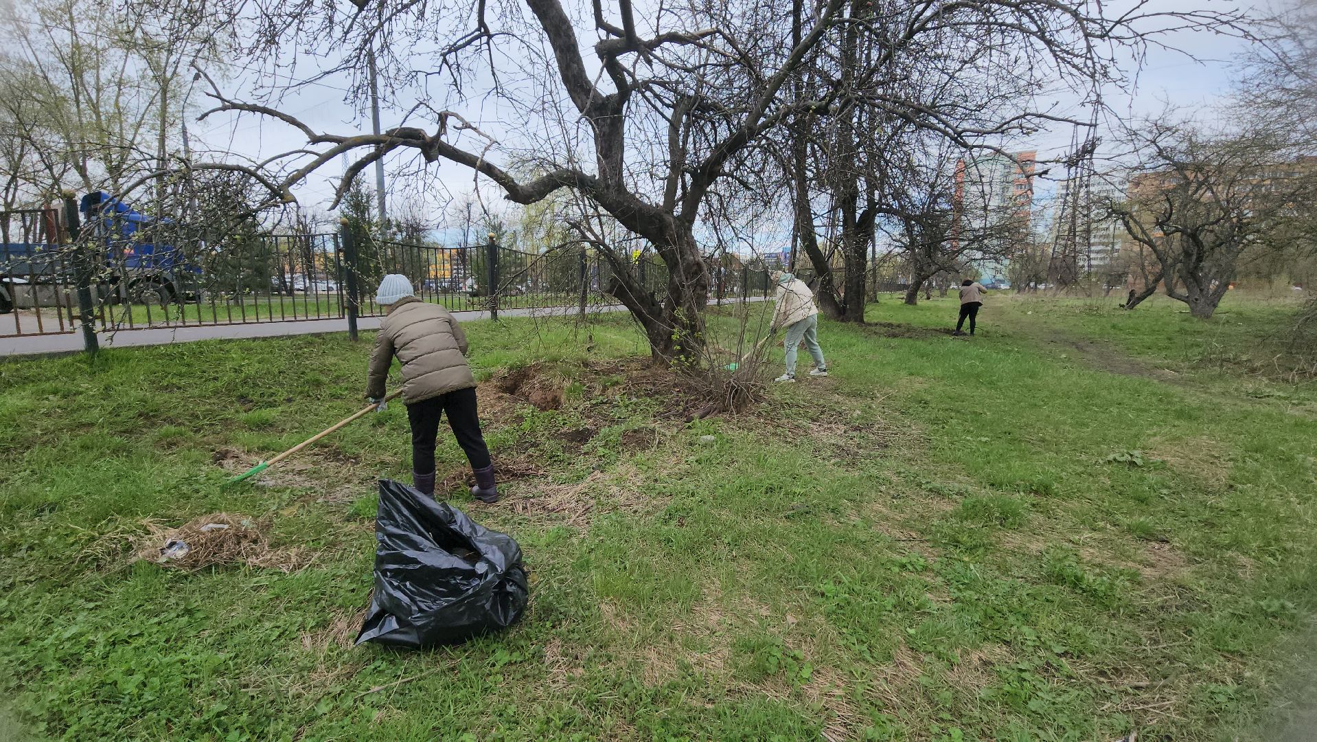 Реутов, субботник, чистый город, грабли, лопаты, листва, мусор,