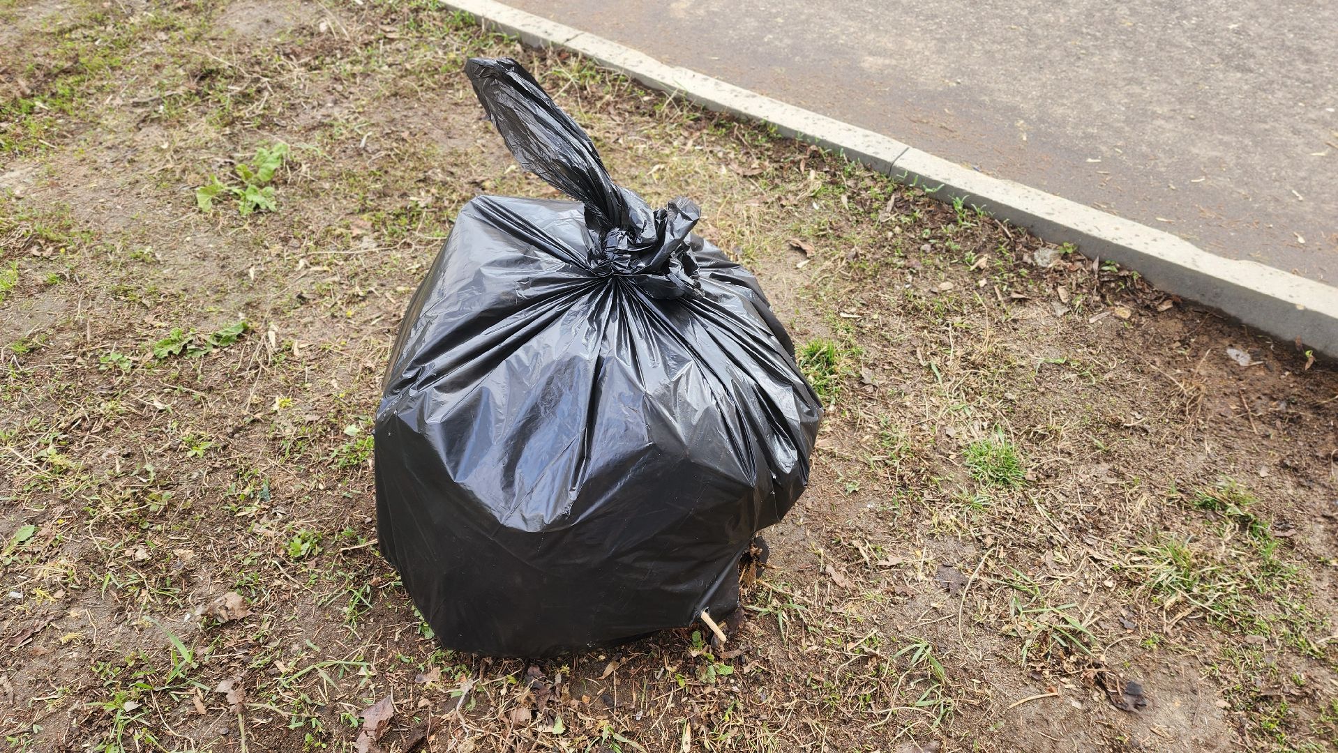 Реутов, субботник, чистый город, грабли, лопаты, листва, мусор,