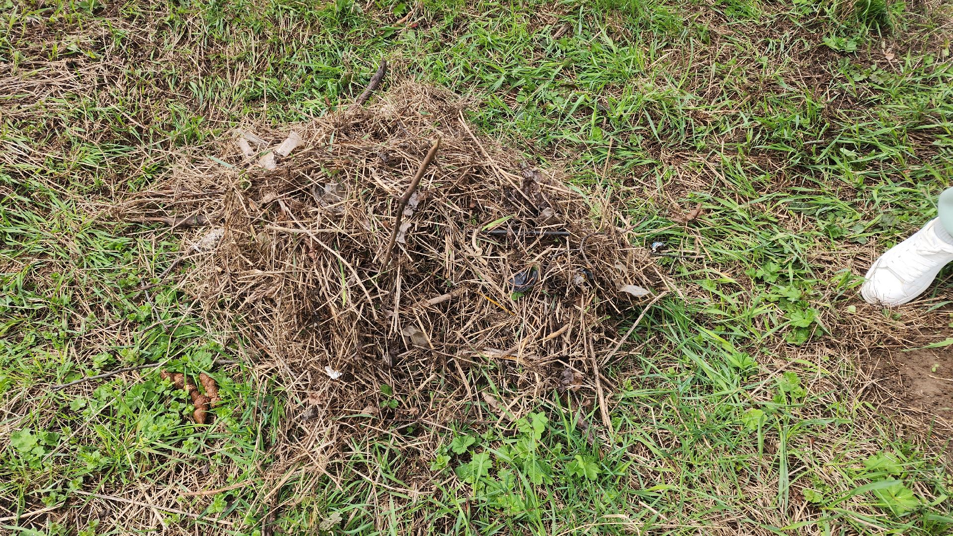 Реутов, субботник, чистый город, грабли, лопаты, листва, мусор,