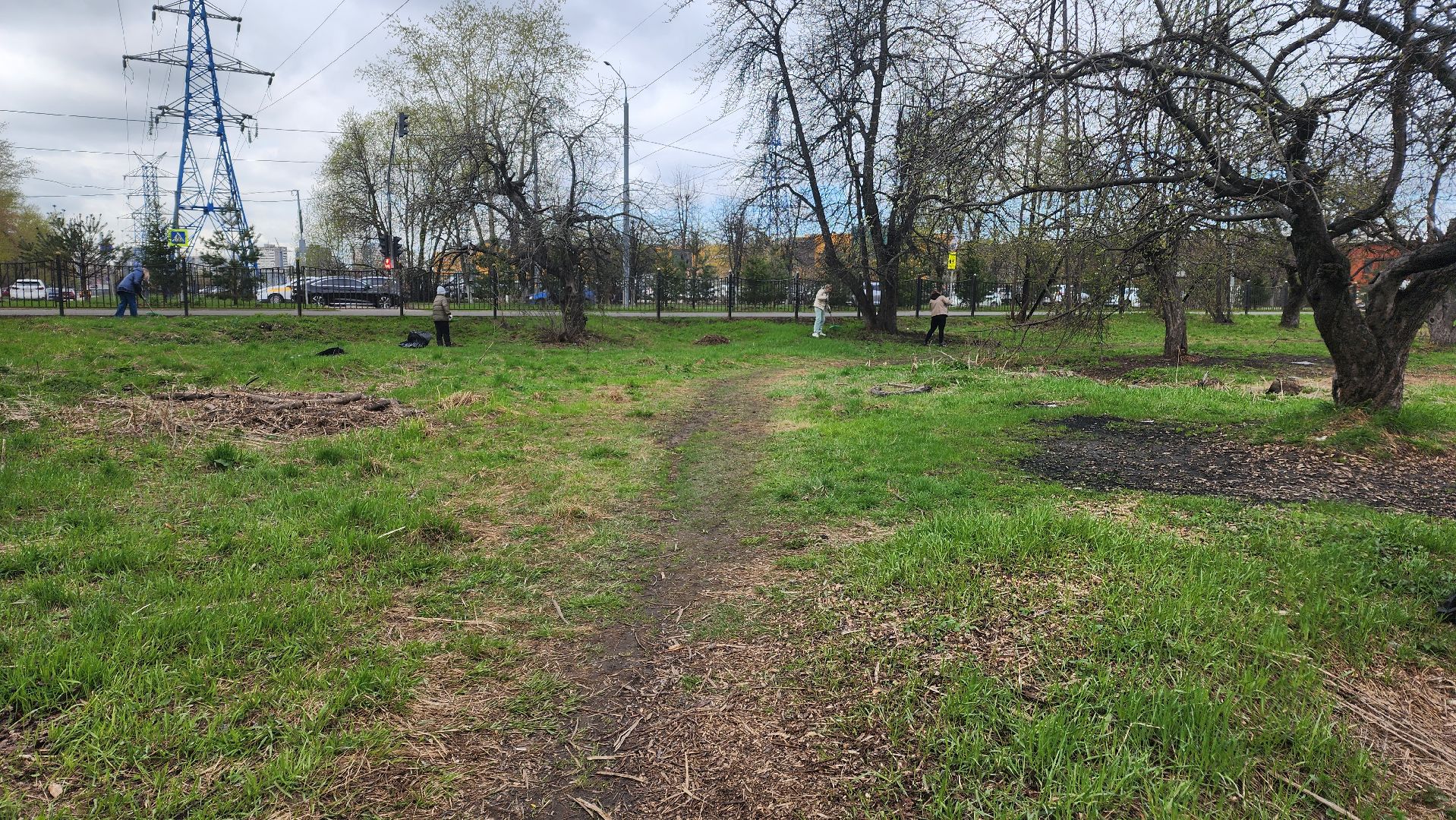 Реутов, субботник, чистый город, грабли, лопаты, листва, мусор,