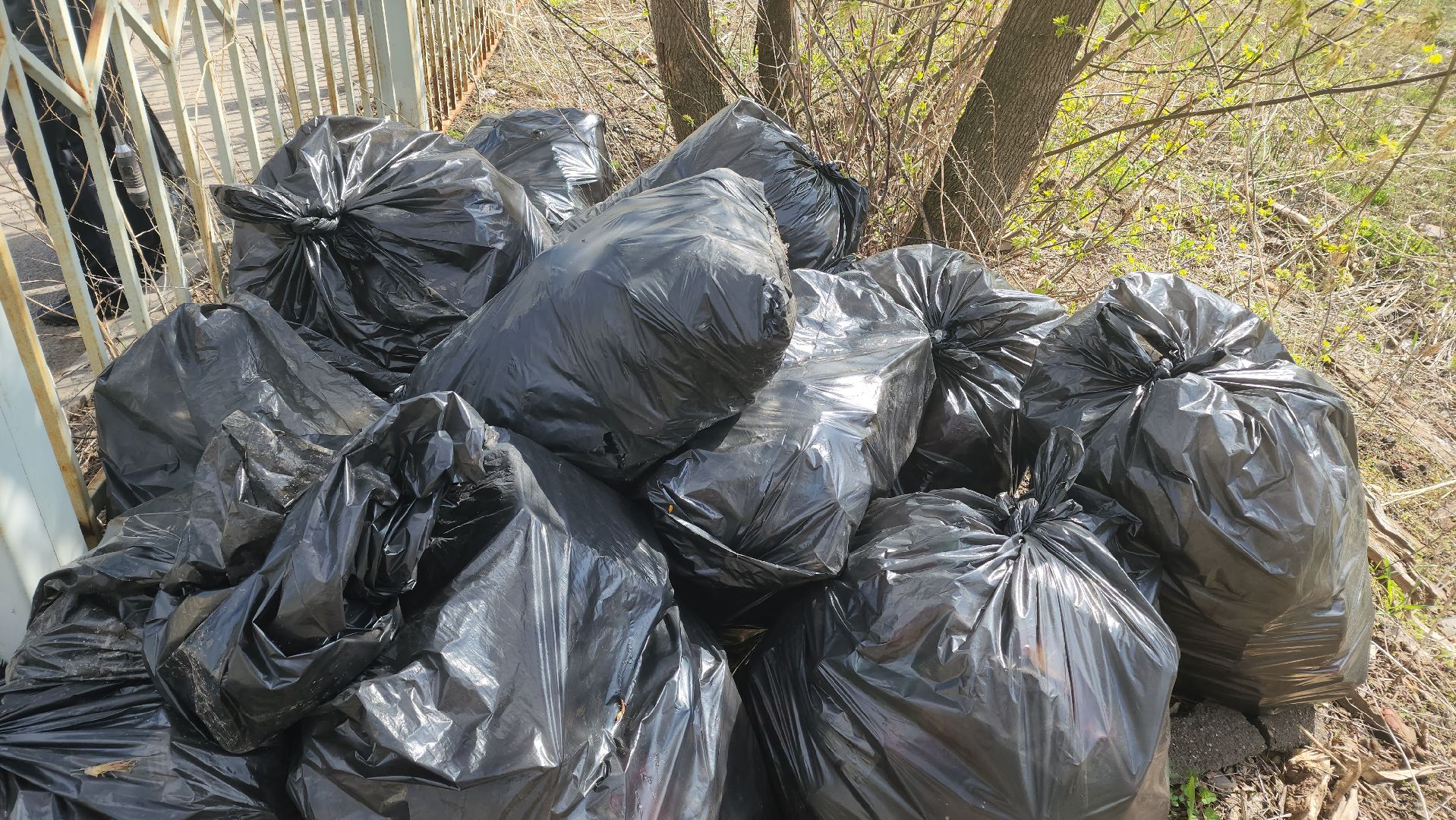 Реутов, субботник, чистый город, грабли, лопаты, листва, мусор,