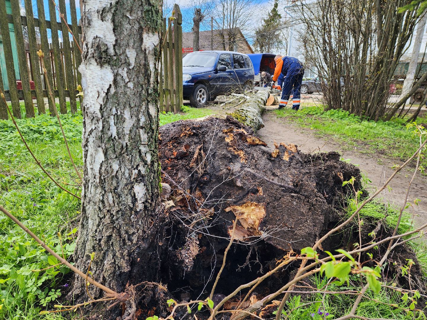 Шторм, Штормовое предупреждение, ветер, последствия стихии, последствия непогоды, руза, рузский городской округ, благоустройство,