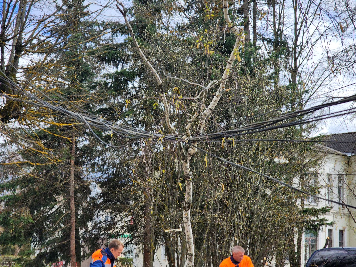 Шторм, Штормовое предупреждение, ветер, последствия стихии, последствия непогоды, руза, рузский городской округ, благоустройство,