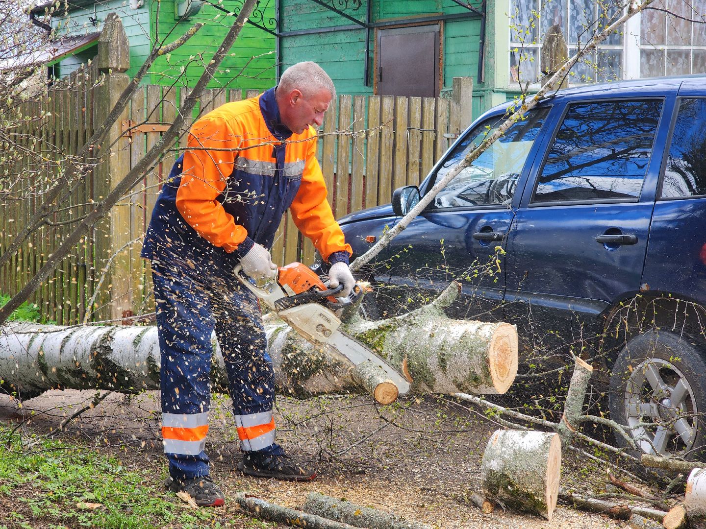 Шторм, Штормовое предупреждение, ветер, последствия стихии, последствия непогоды, руза, рузский городской округ, благоустройство,