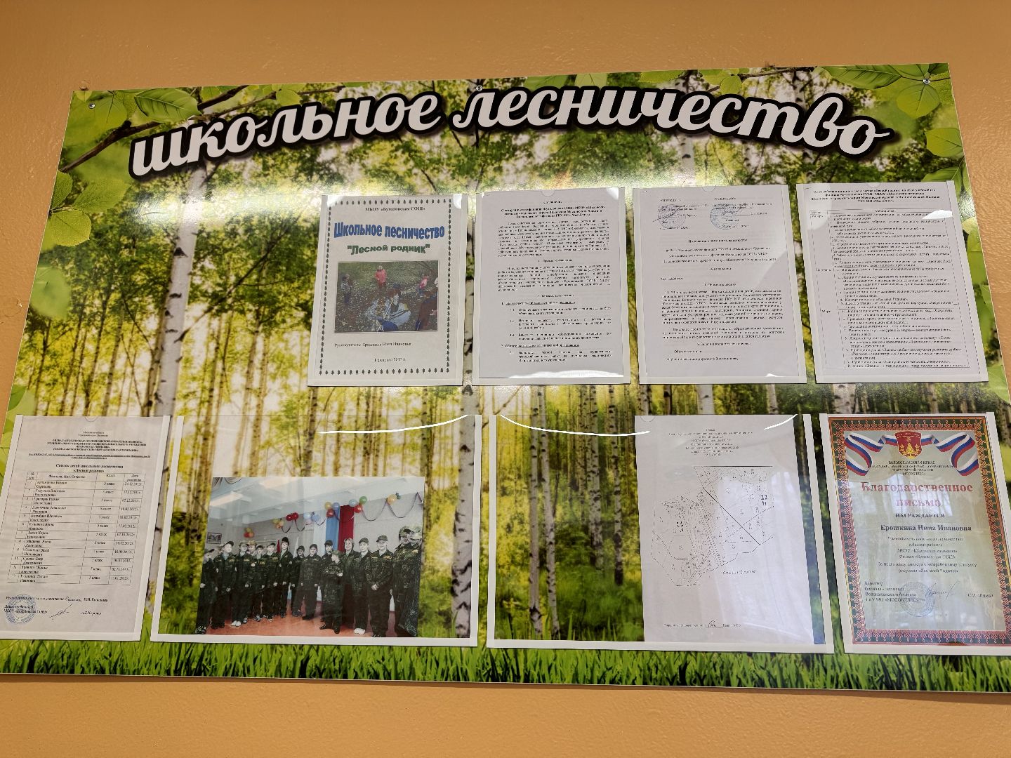 школьное лесничество, шаховская, пожары, дети,