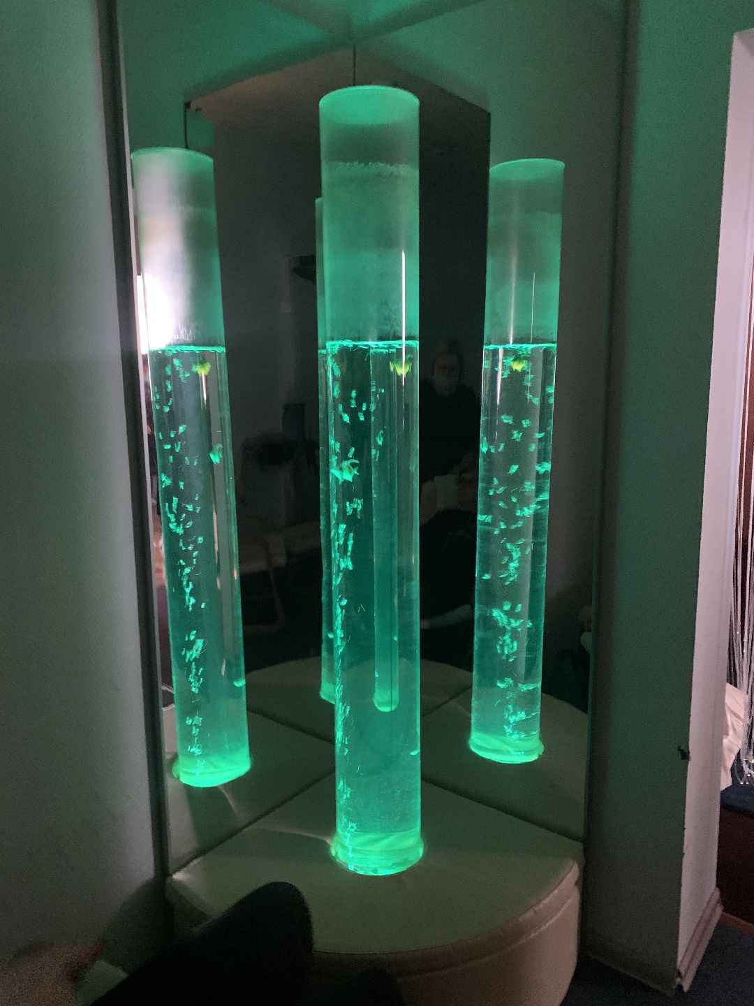 Краснознаменск, общество