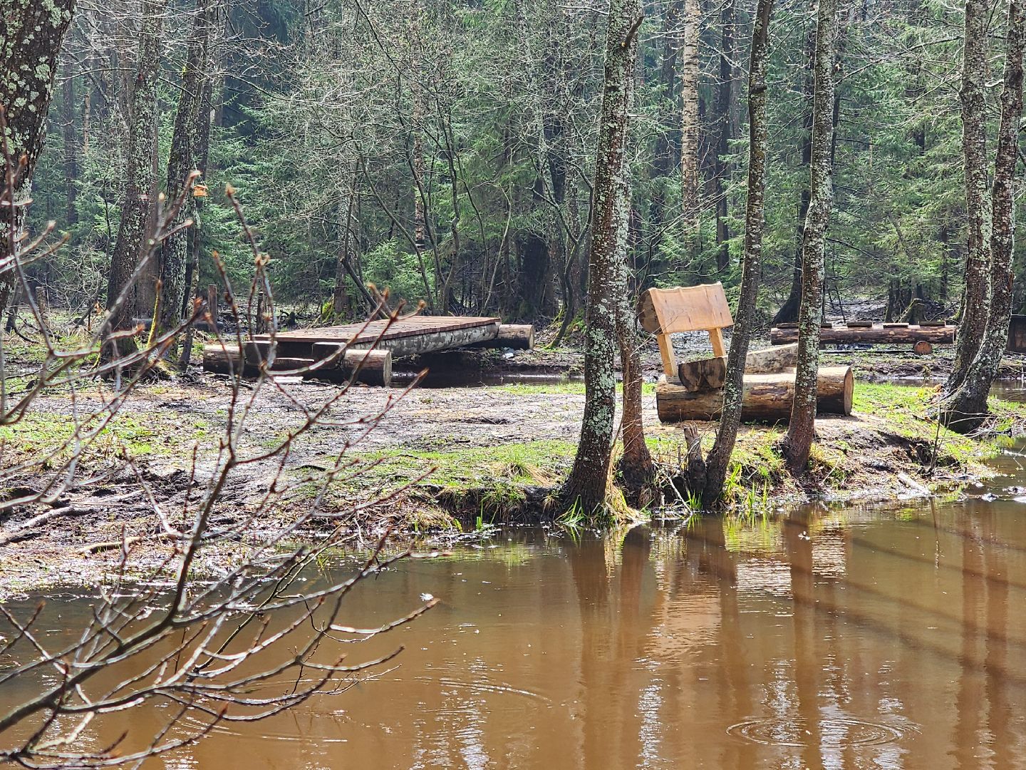 Черноголовка, общество, Грант, культура, благоустройство,