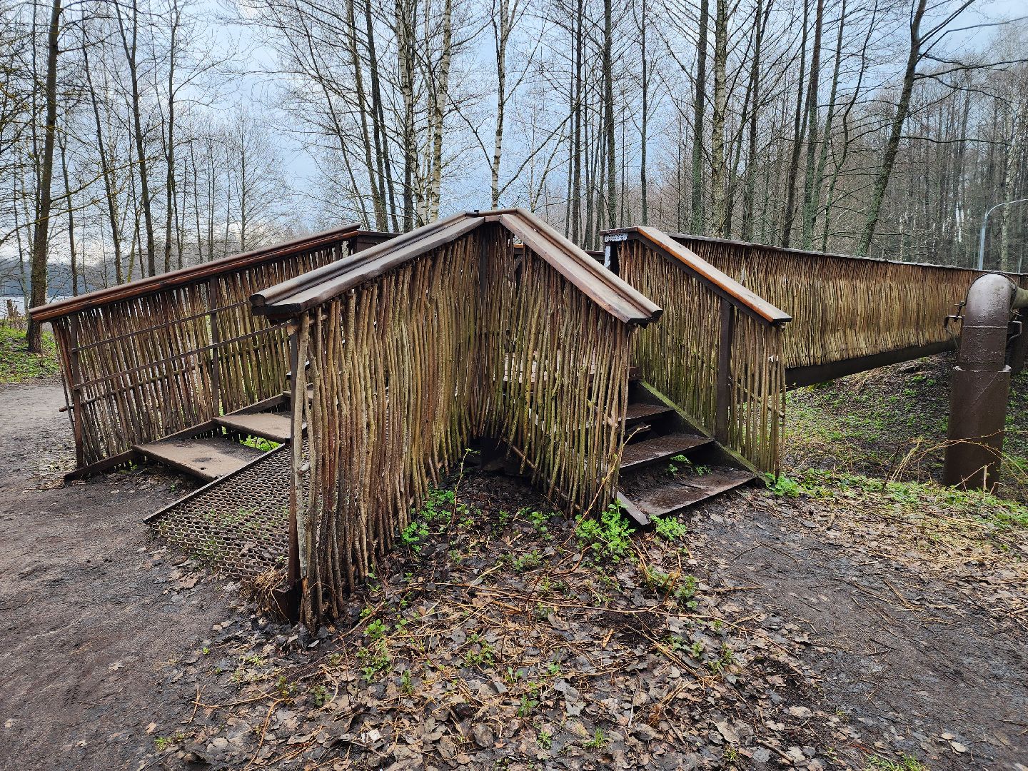 Черноголовка, общество, Грант, культура, благоустройство,