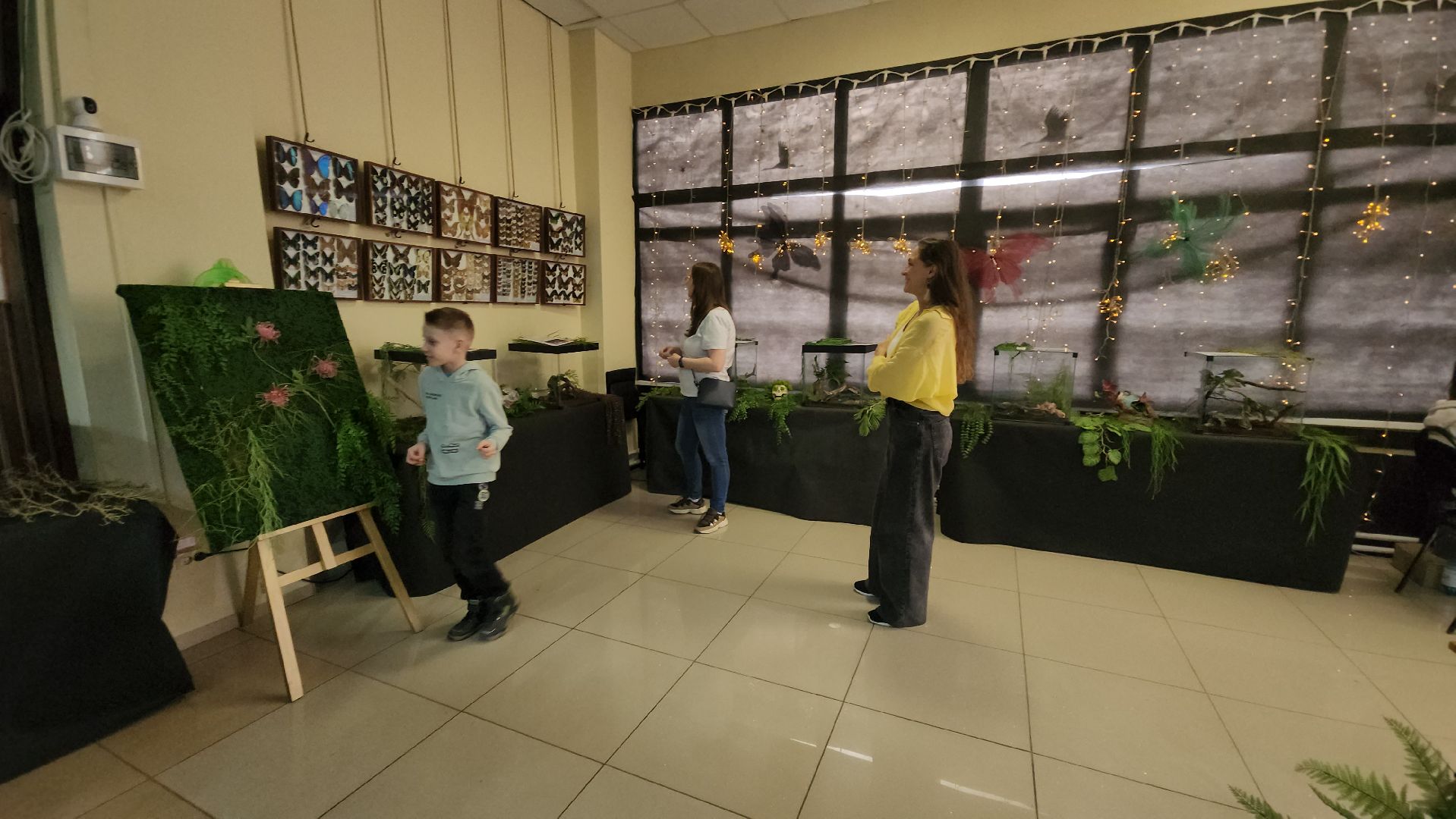 Бабочки, Выставка, лобня,