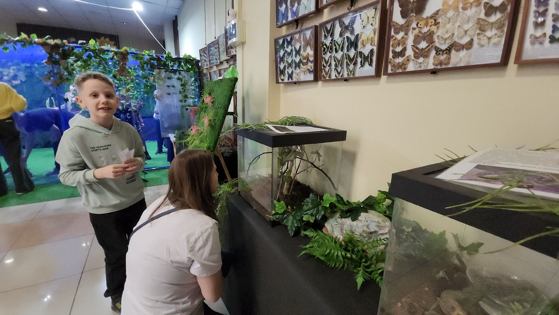 Бабочки, Выставка, лобня,