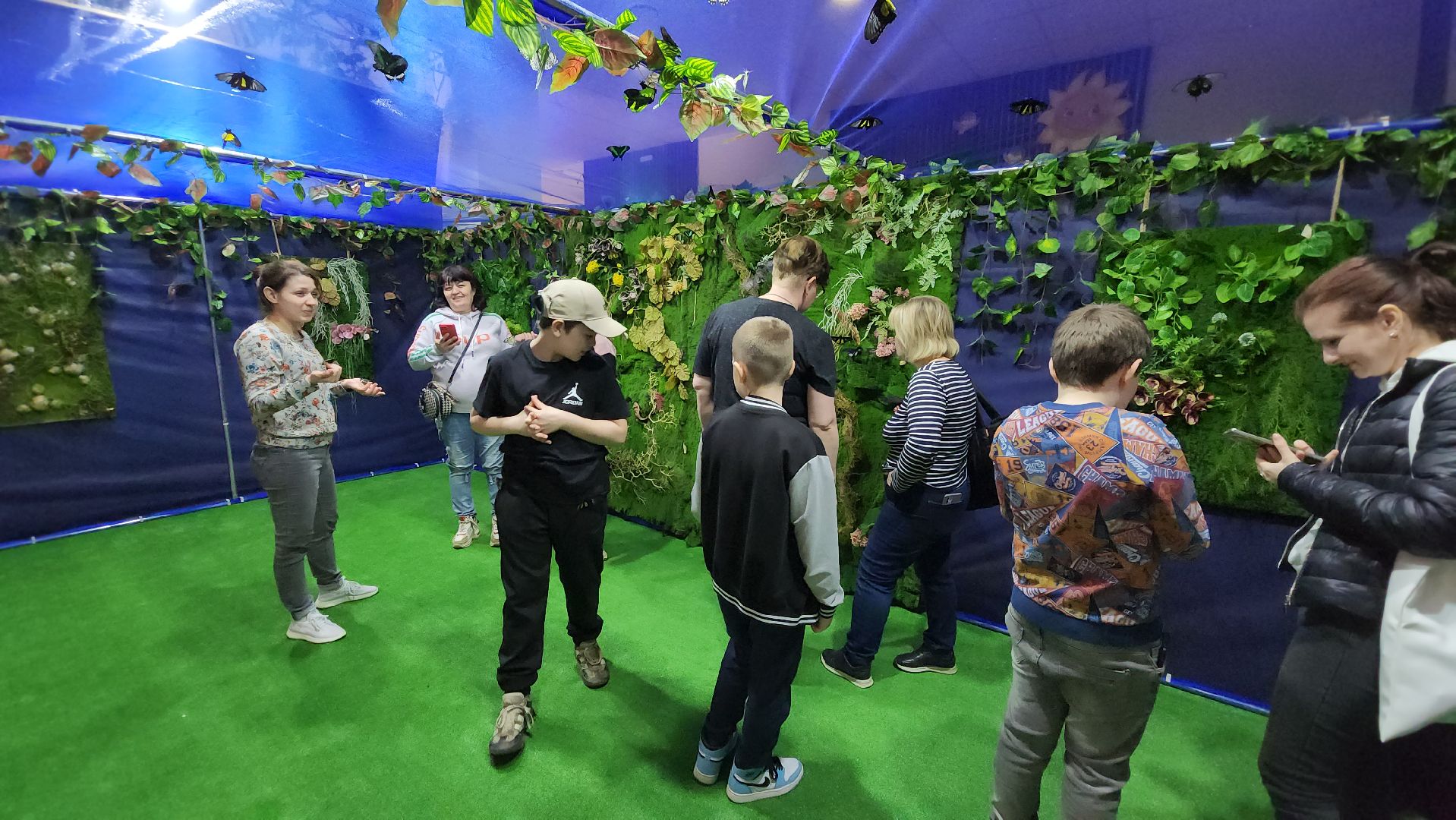 Бабочки, Выставка, лобня,