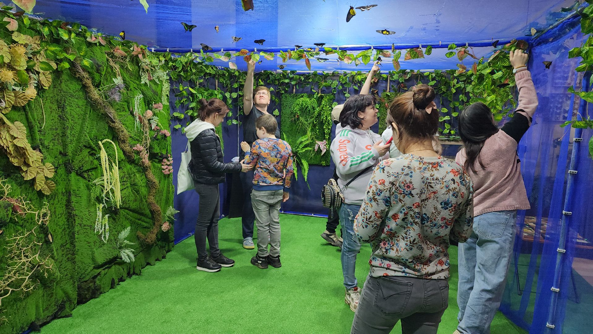 Бабочки, Выставка, лобня,