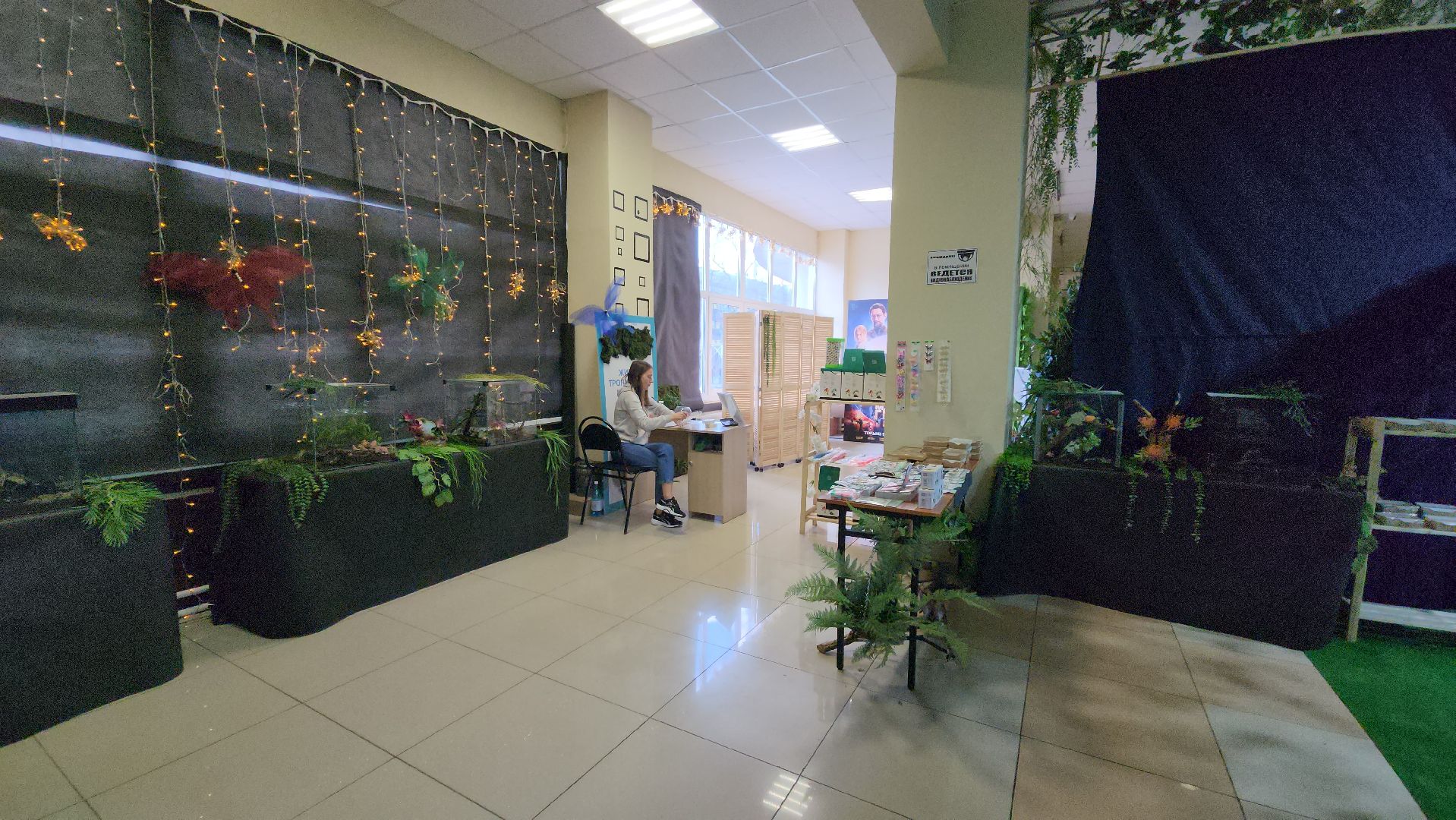 Бабочки, Выставка, лобня,