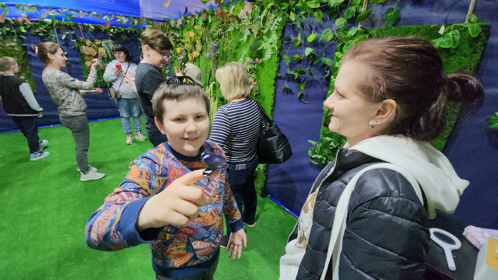 Бабочки, Выставка, лобня,