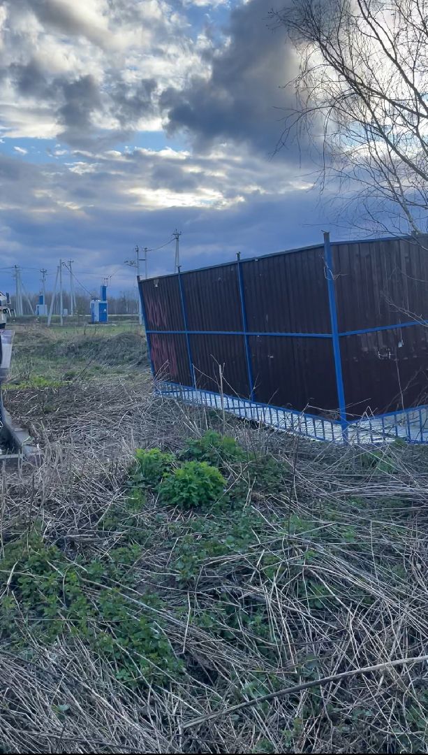 черноголовка,