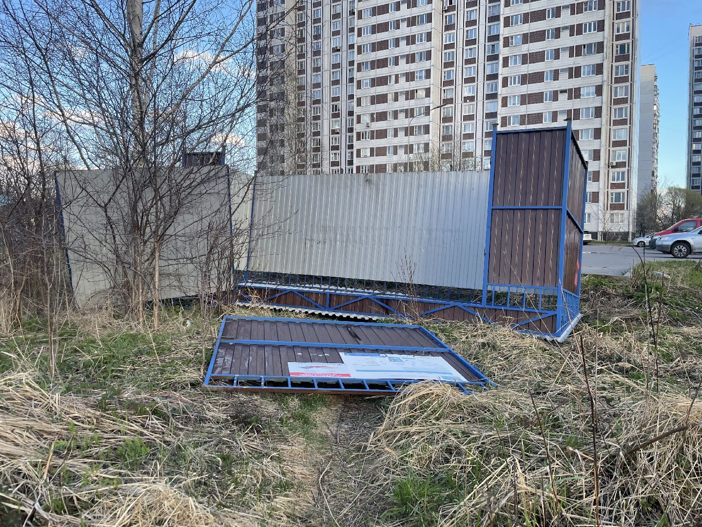 черноголовка,