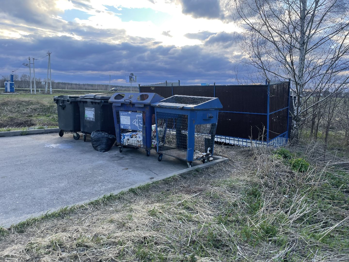 черноголовка,