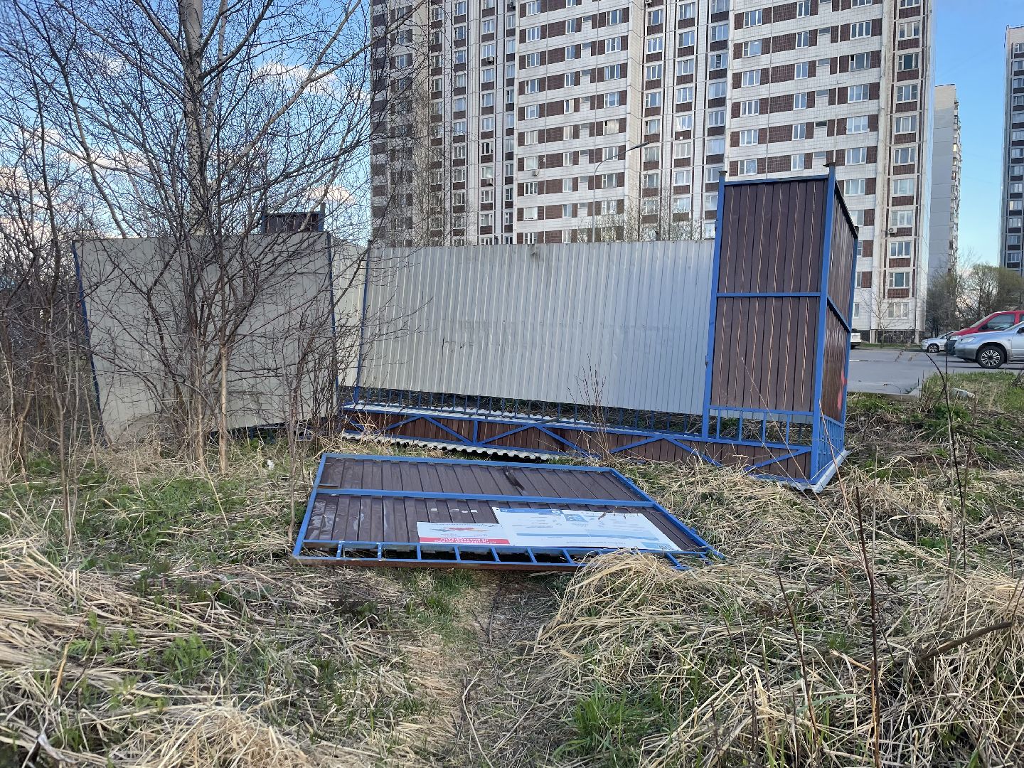 черноголовка,