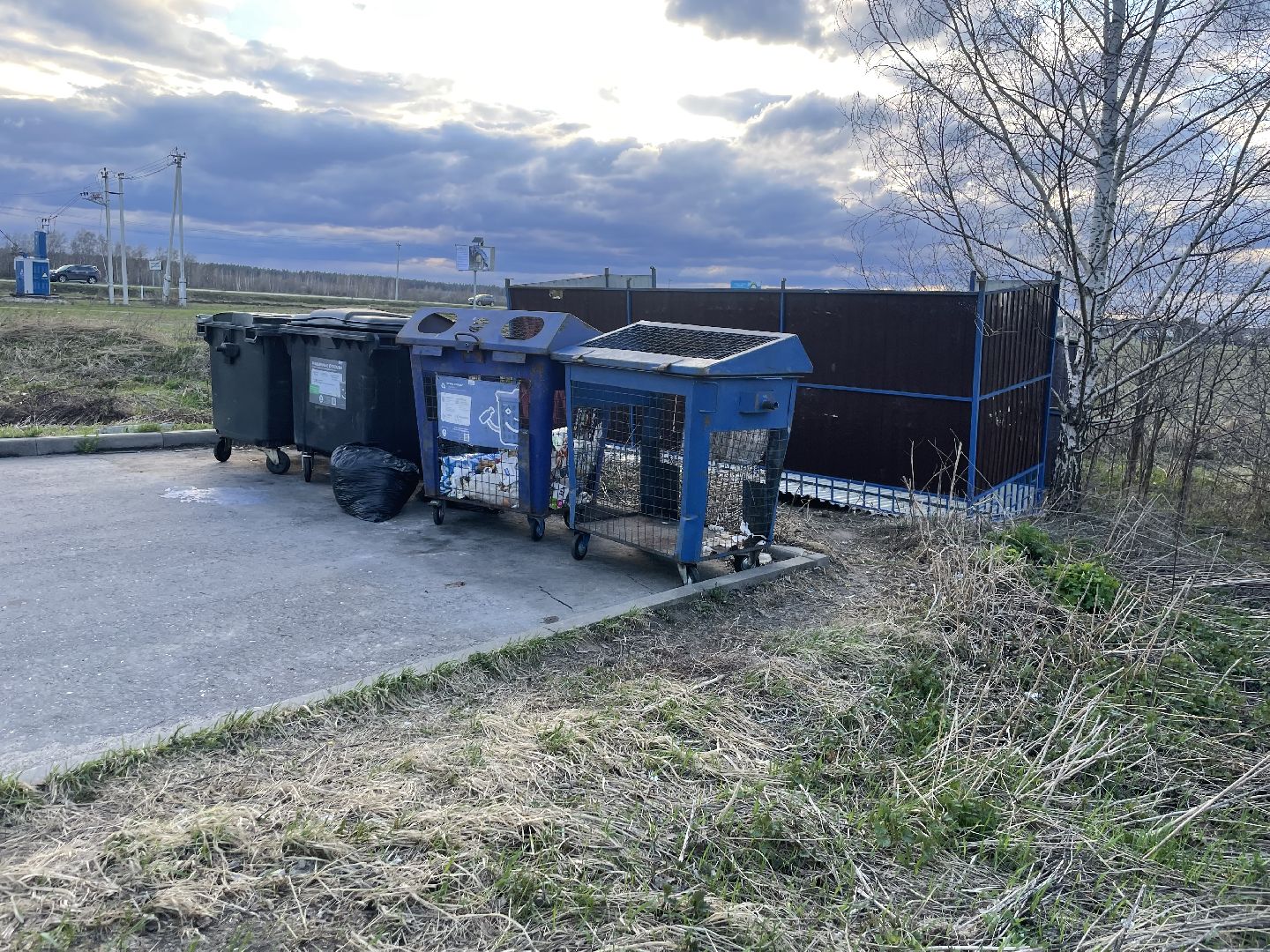 черноголовка,