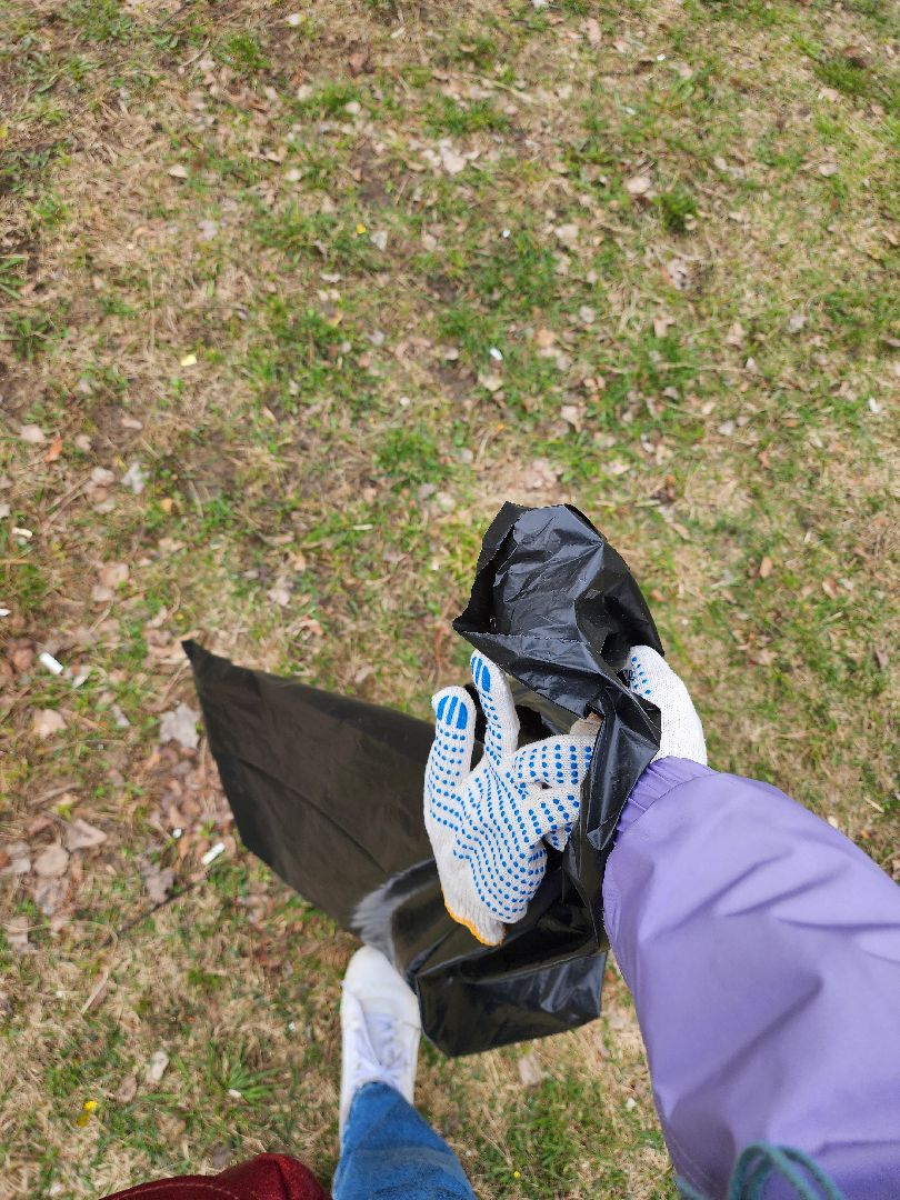 Субботник, Уборка, управляющая компания, Дубна,