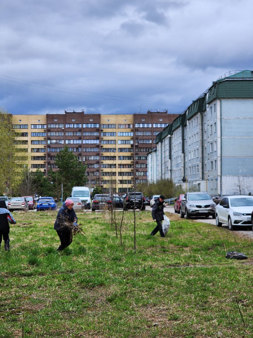 Субботник, Уборка, управляющая компания, Дубна,