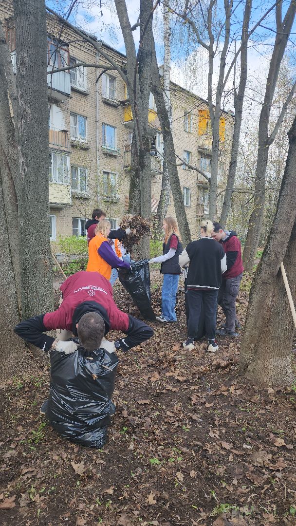 пушкино, субботник, музей, волонтеры культуры, уборка общественных территорий,