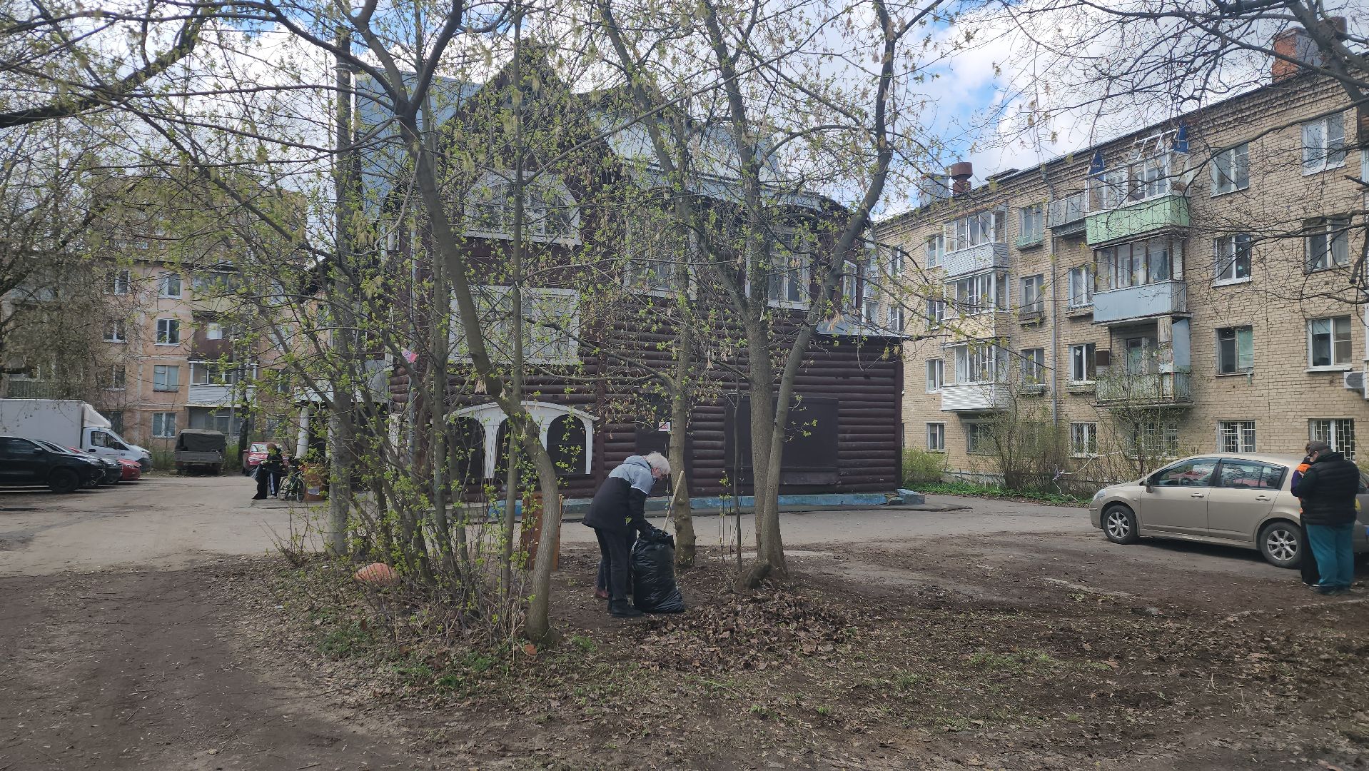 пушкино, субботник, музей, волонтеры культуры, уборка общественных территорий,