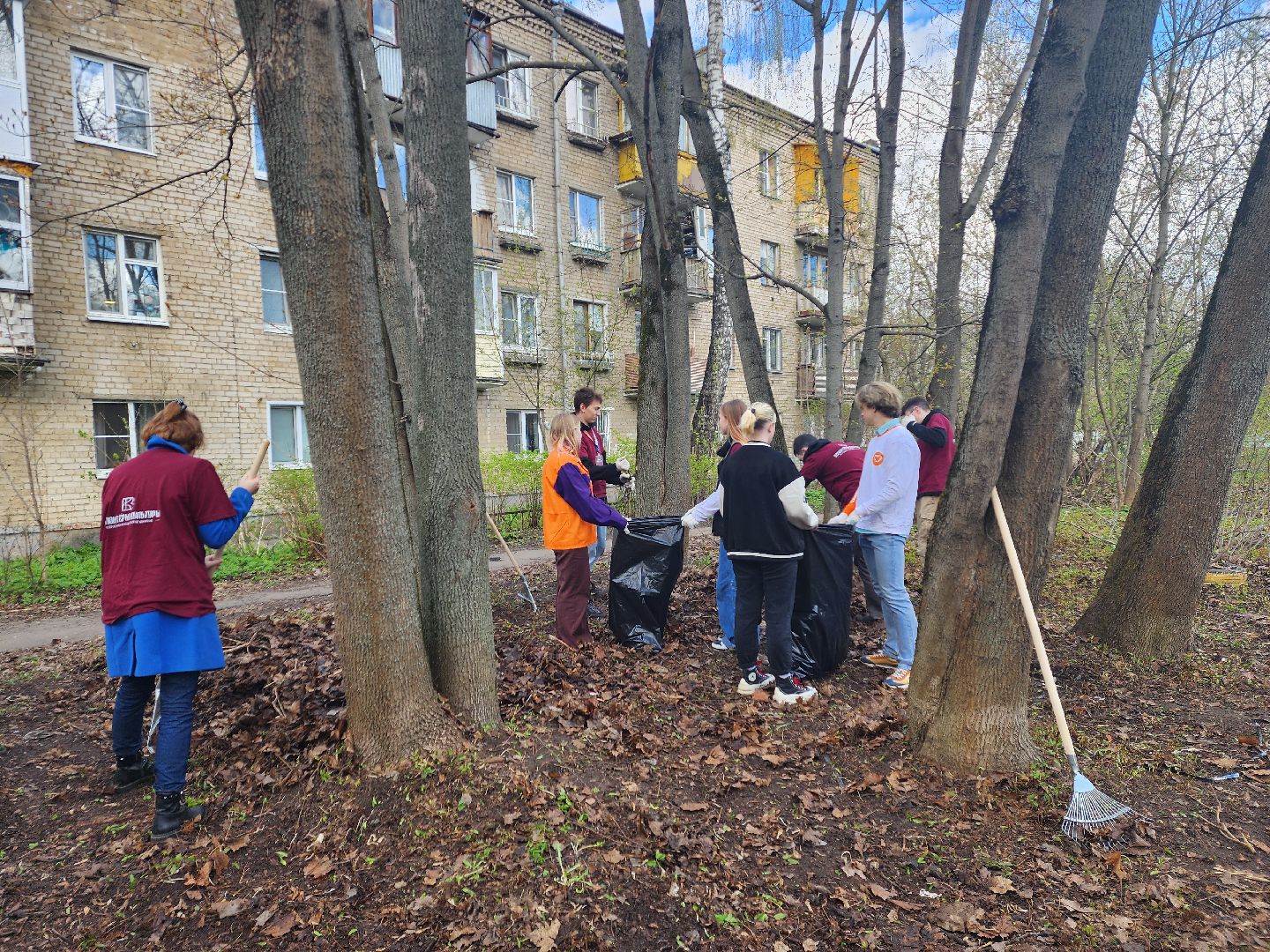 пушкино, субботник, музей, волонтеры культуры, уборка общественных территорий,