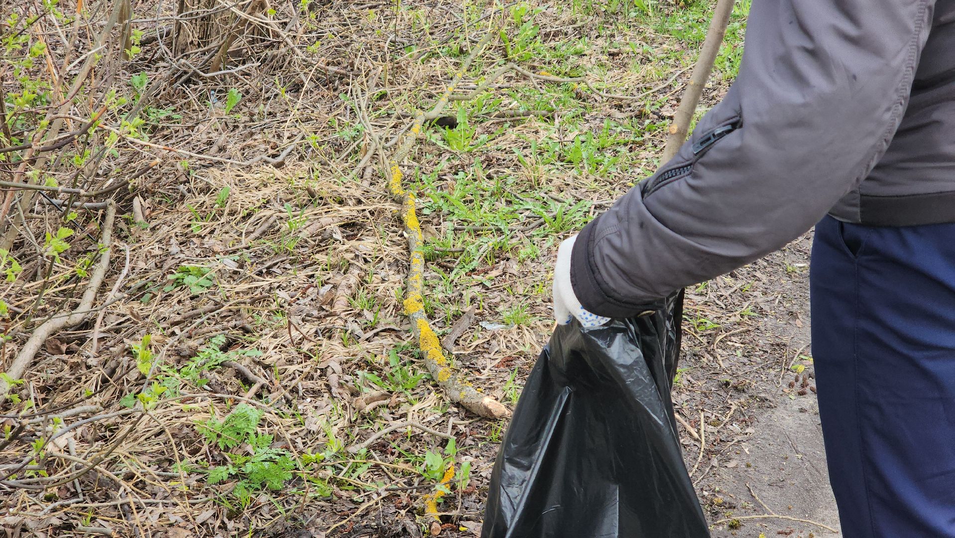 егорьевск, субботник, мусор, вывоз мусора, вывоз отходов, уборка, уборка города,