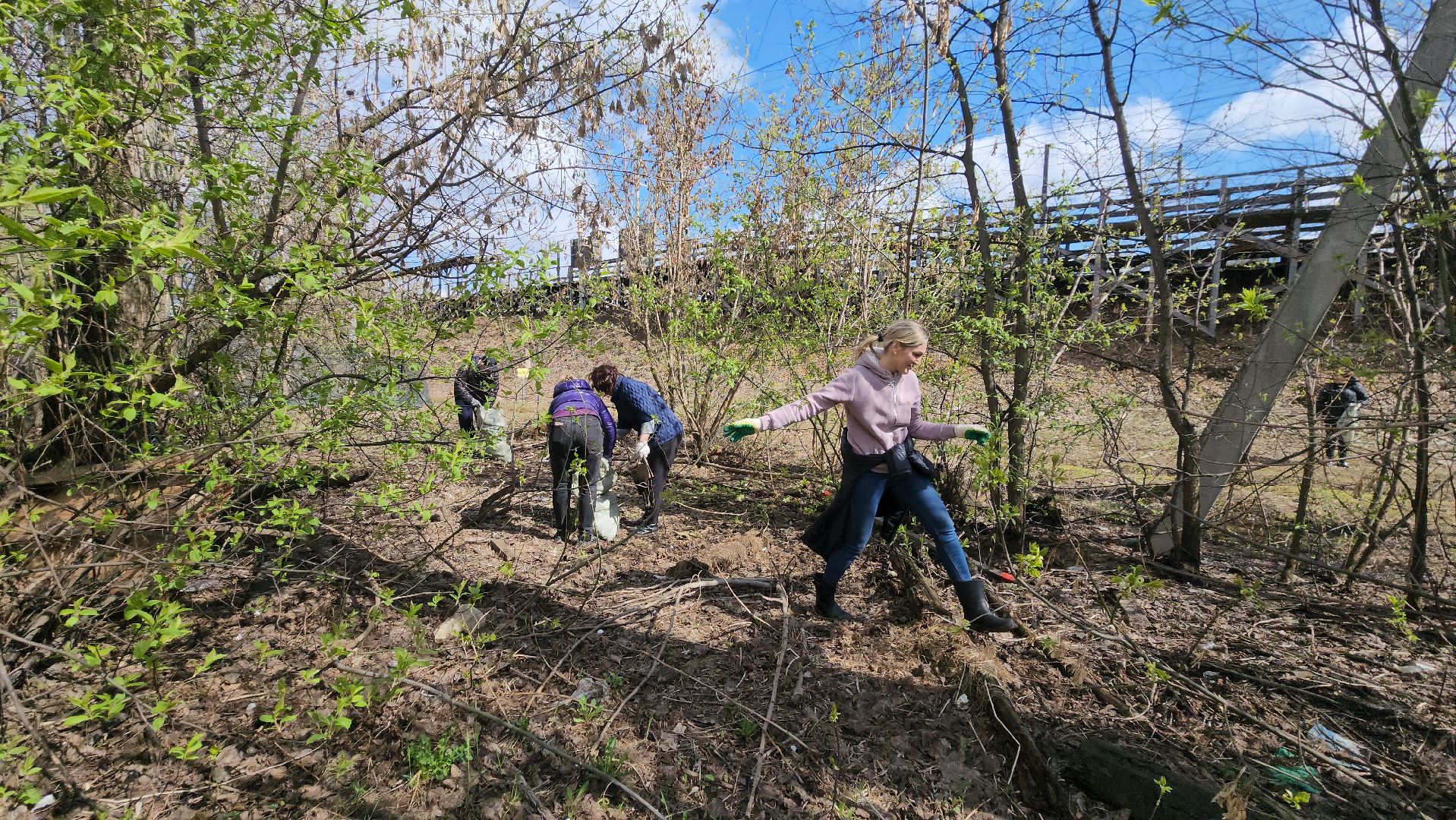 Субботник, Благоустройство, долгопрудный,