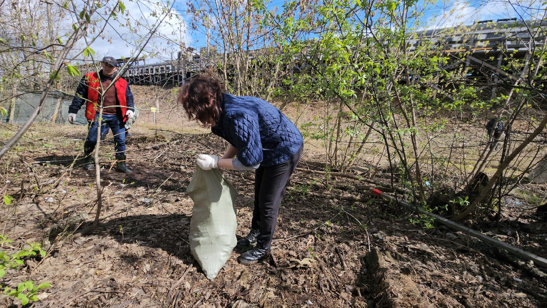 Субботник, Благоустройство, долгопрудный,