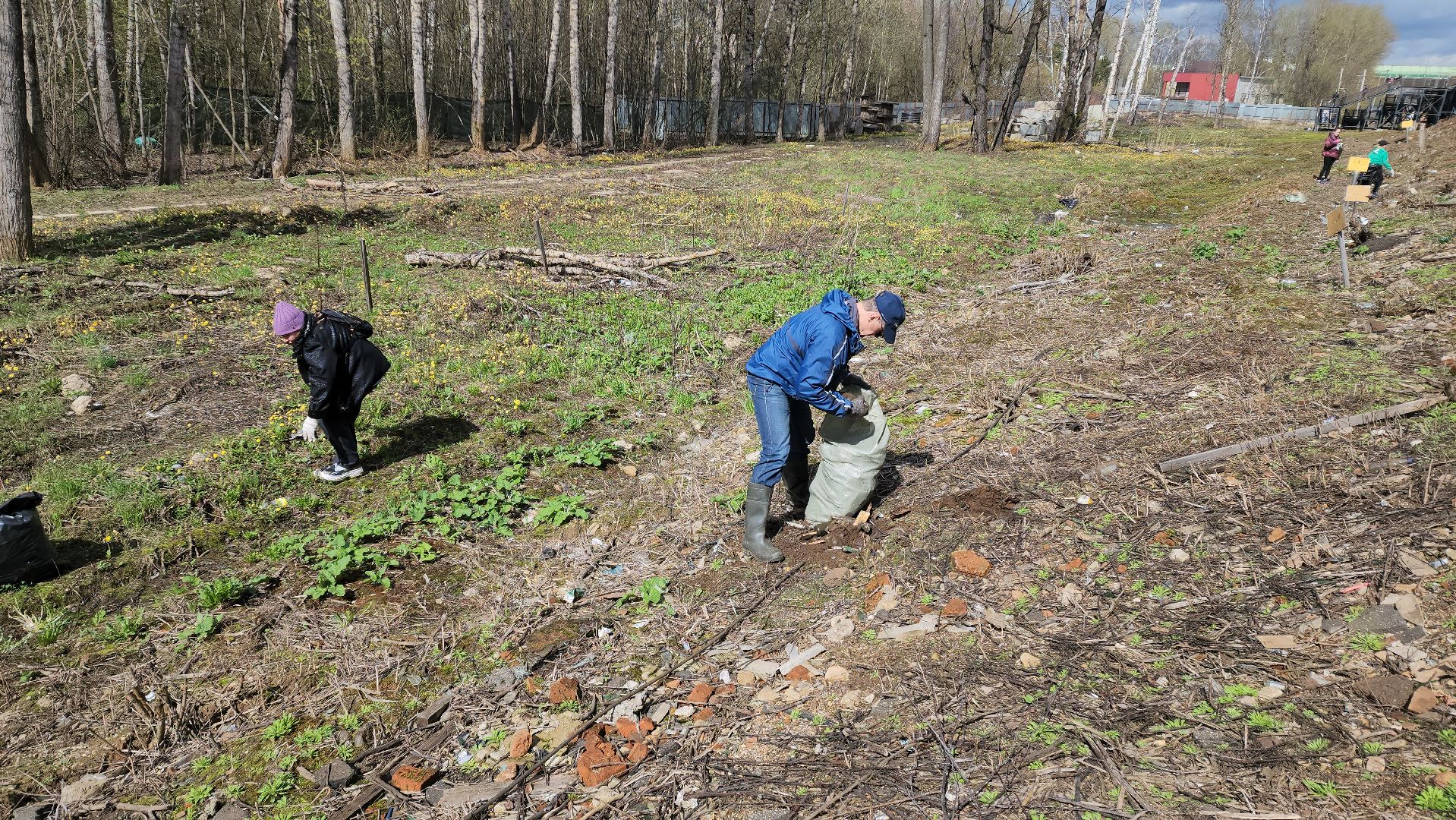Субботник, Благоустройство, долгопрудный,