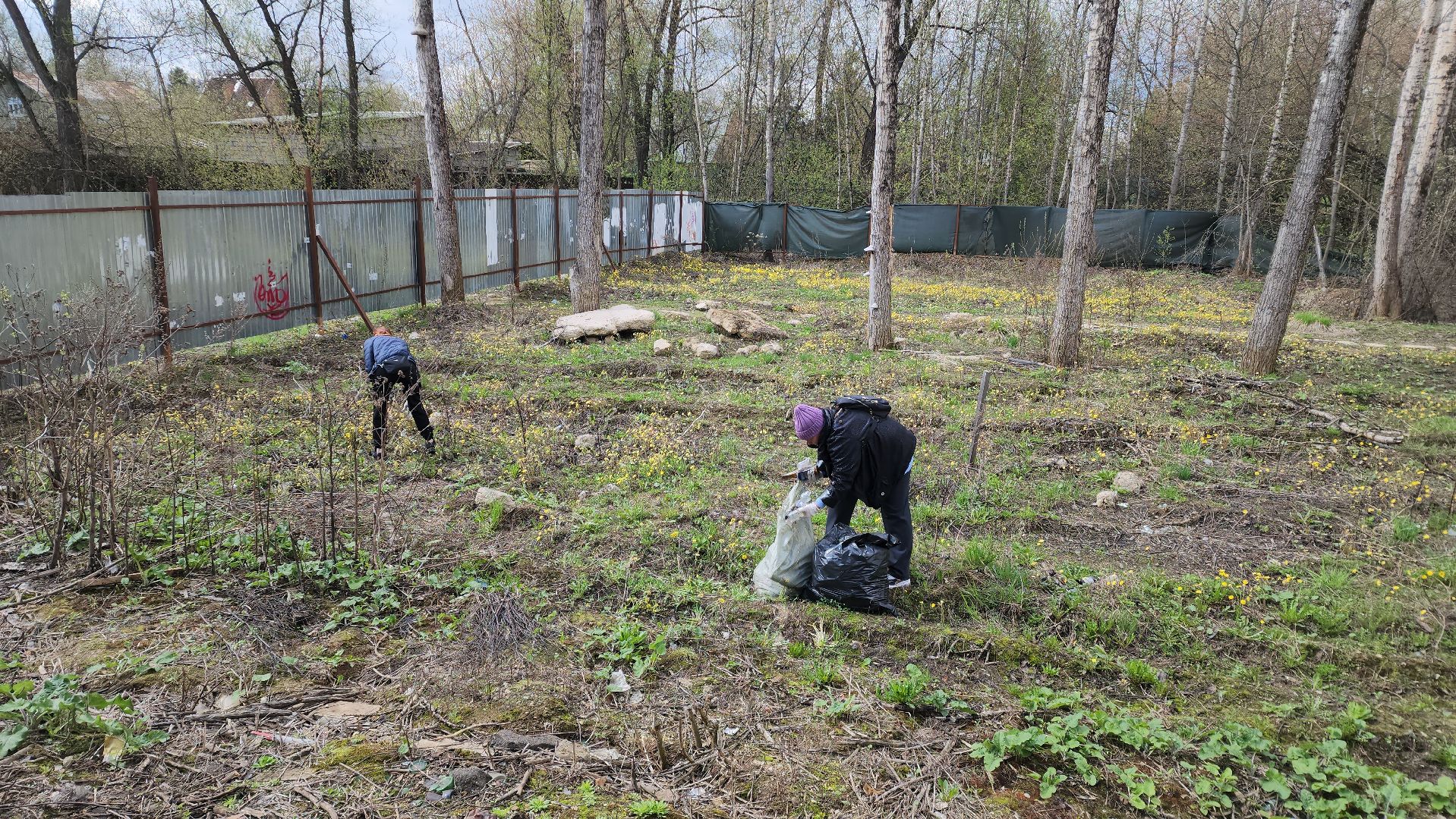 Субботник, Благоустройство, долгопрудный,