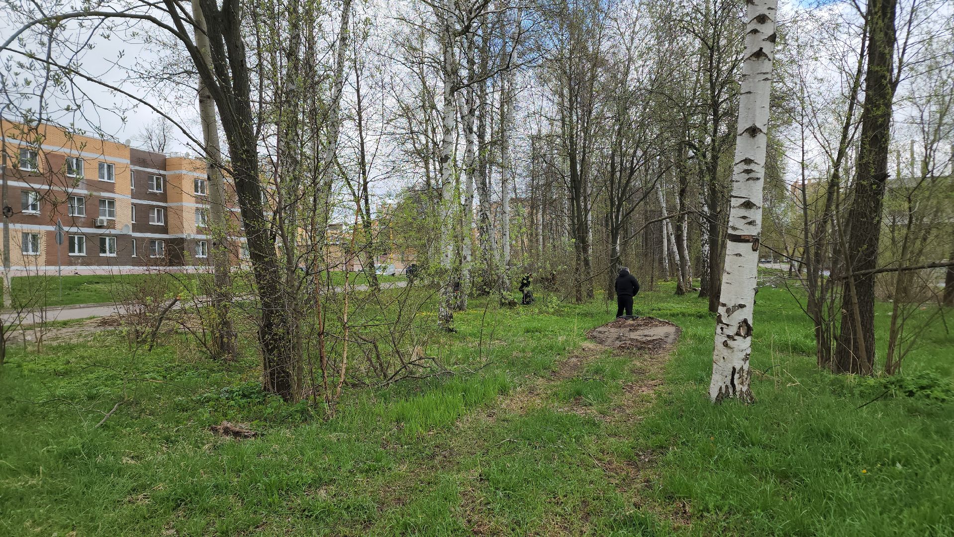 ступино, муниципальный субботник, субботник в подмосковье,