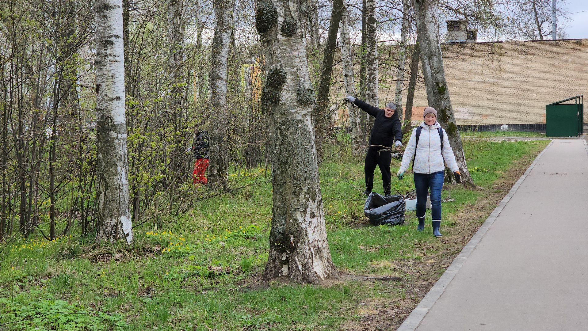 ступино, муниципальный субботник, субботник в подмосковье,