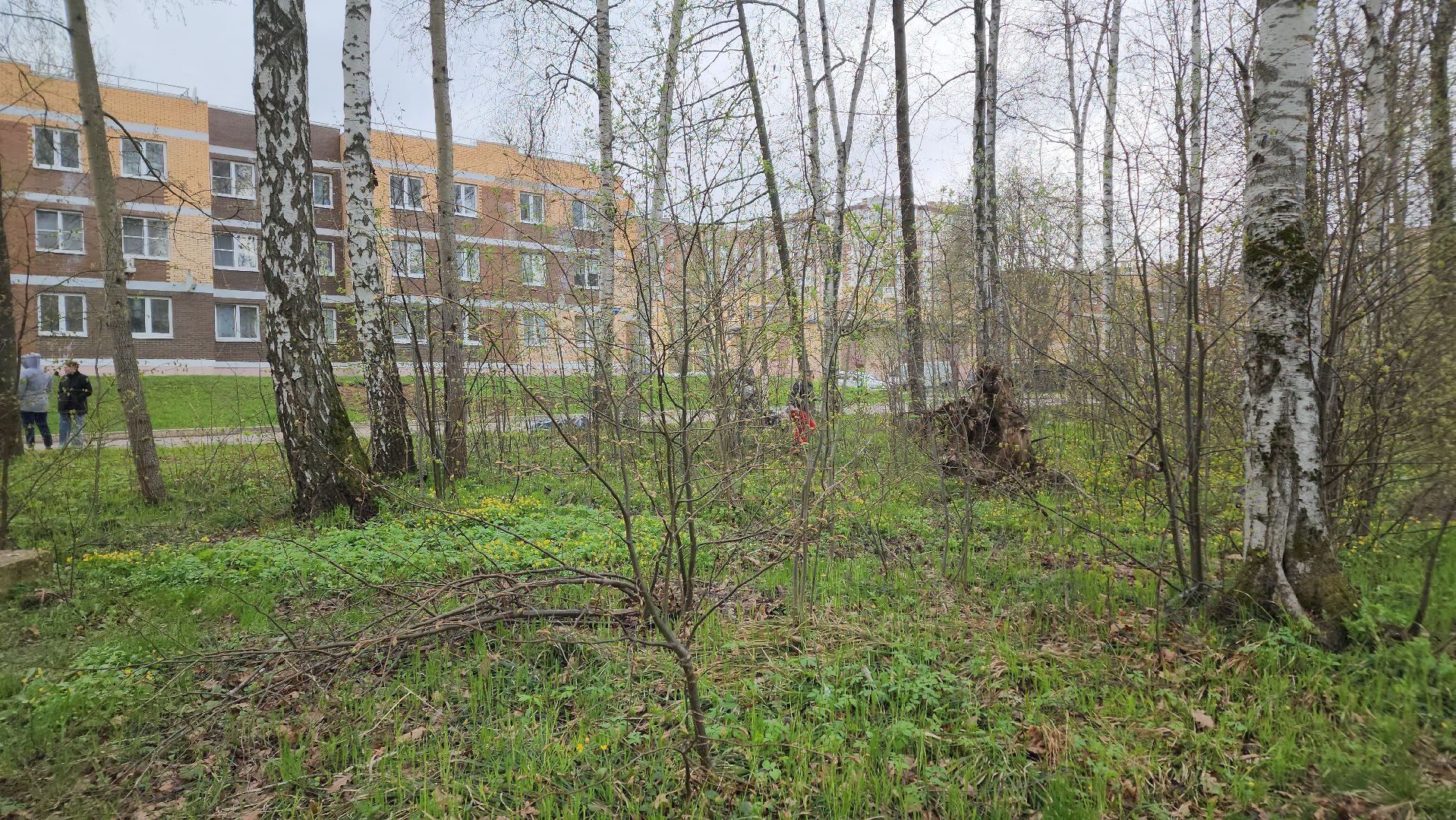 ступино, муниципальный субботник, субботник в подмосковье,