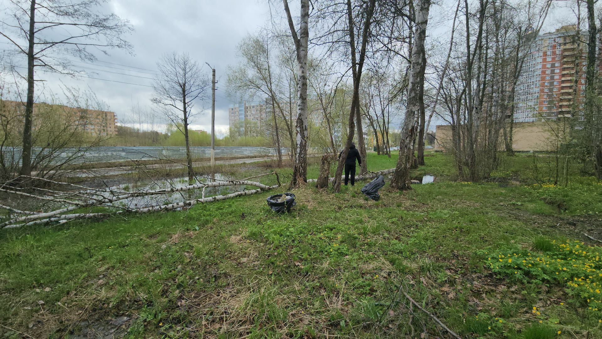 ступино, муниципальный субботник, субботник в подмосковье,