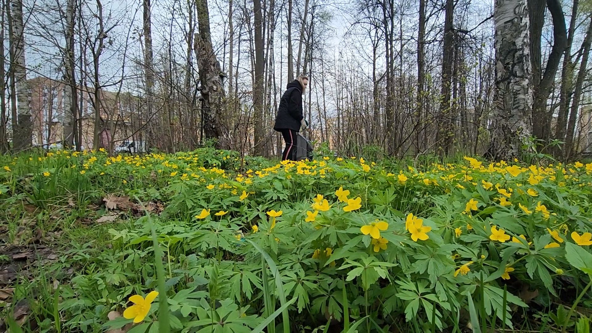 ступино, муниципальный субботник, субботник в подмосковье,