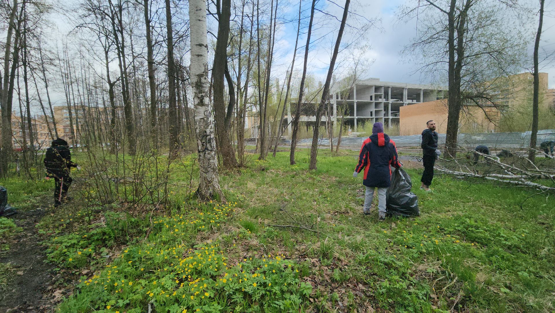 ступино, муниципальный субботник, субботник в подмосковье,