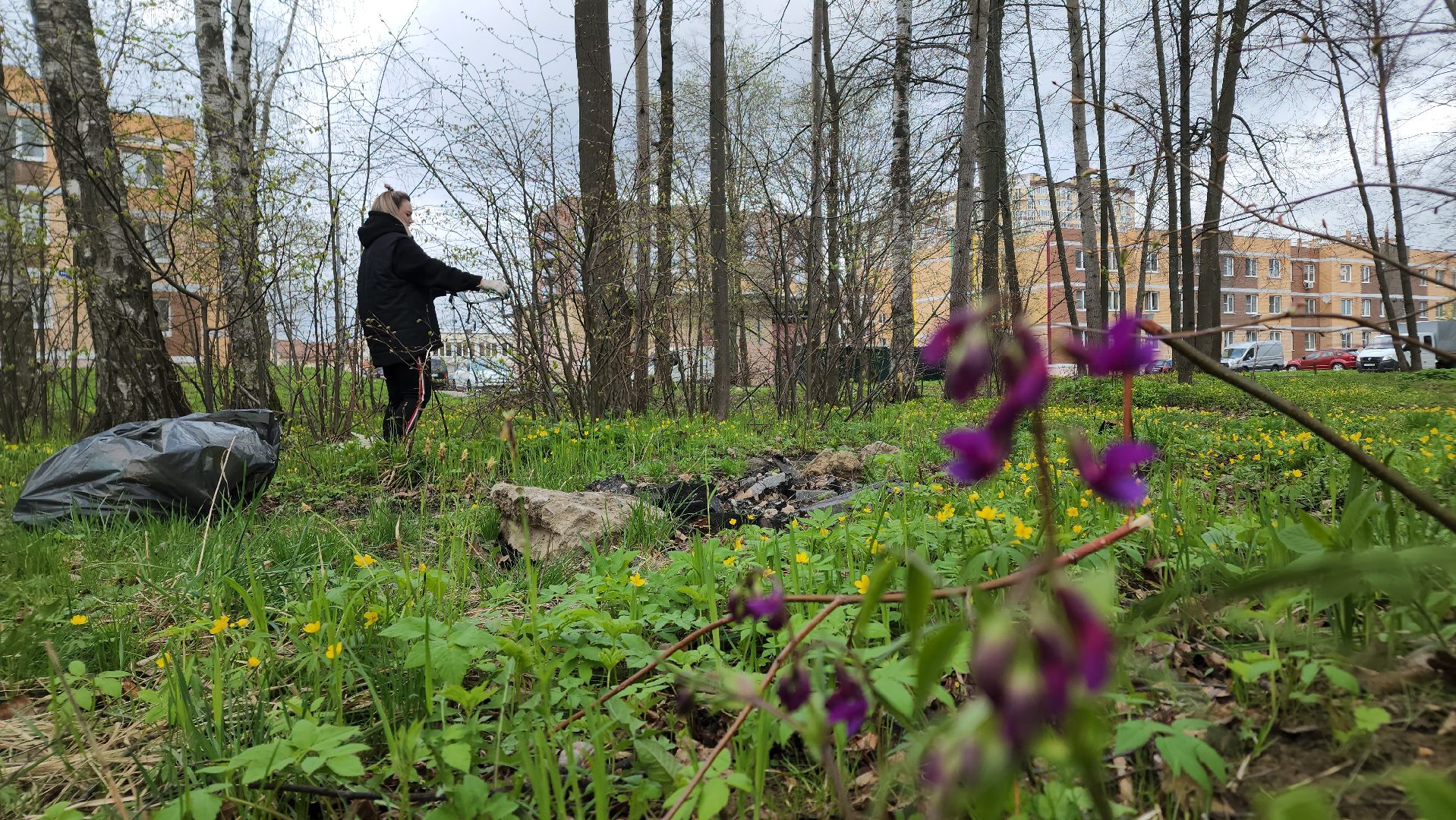 ступино, муниципальный субботник, субботник в подмосковье,