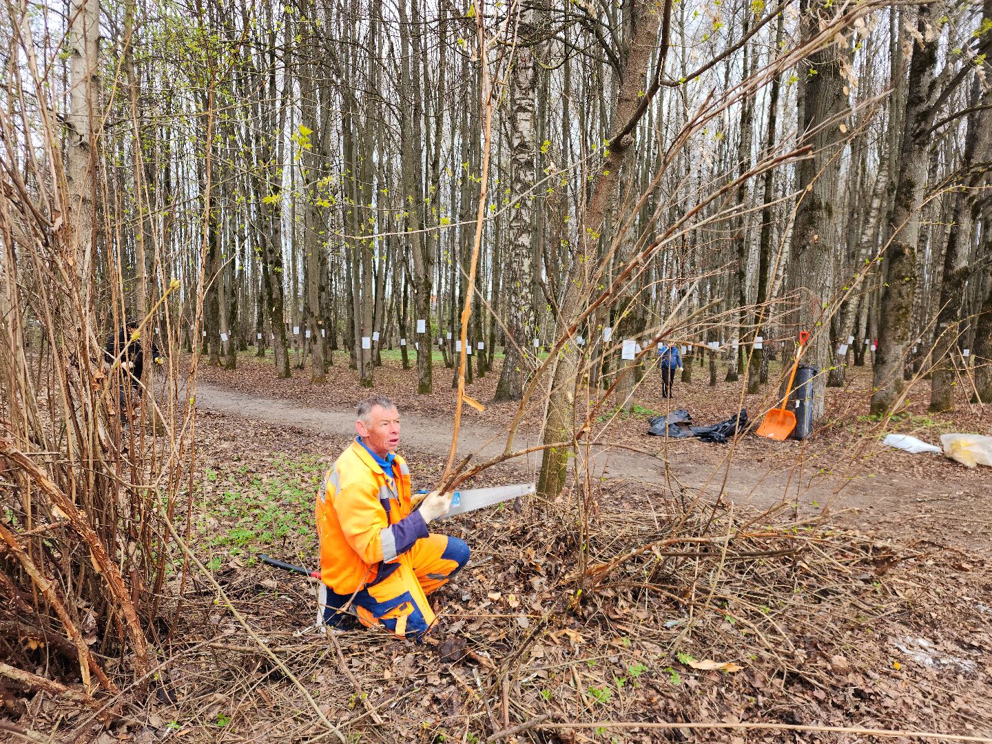Звенигород, благоустройство, субботник,