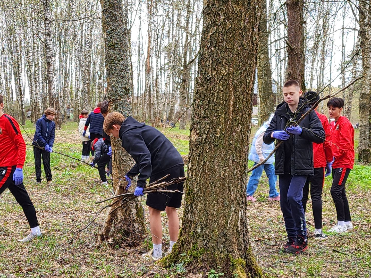 ногинск, лесопарк, Орешник, субботник, общеобластной субботник,