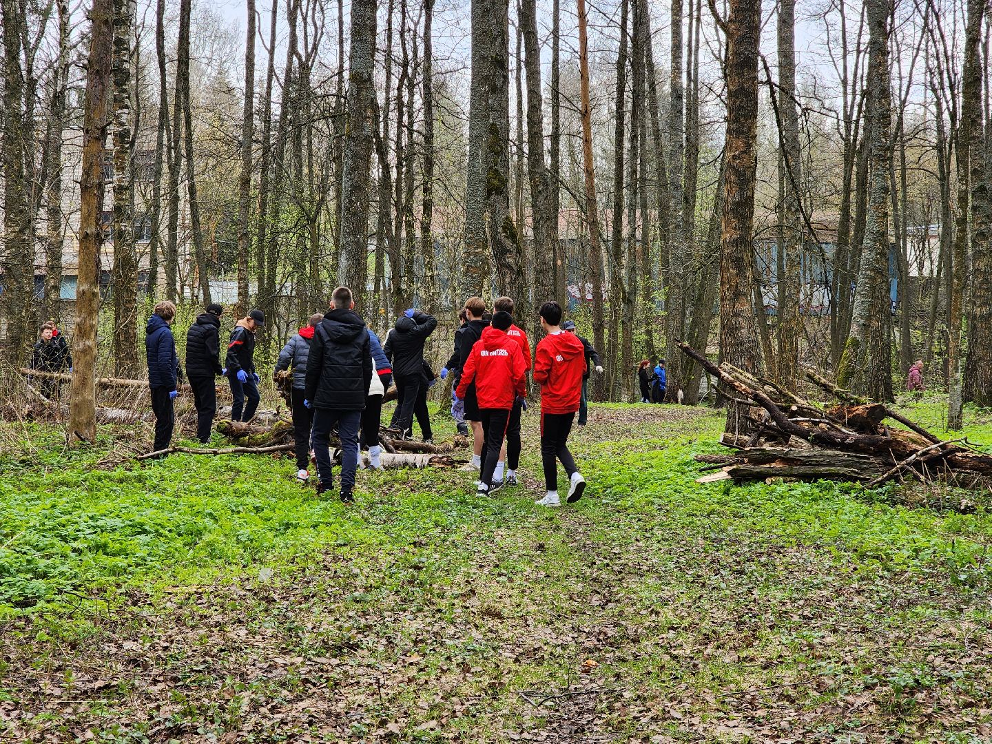 ногинск, лесопарк, Орешник, субботник, общеобластной субботник,
