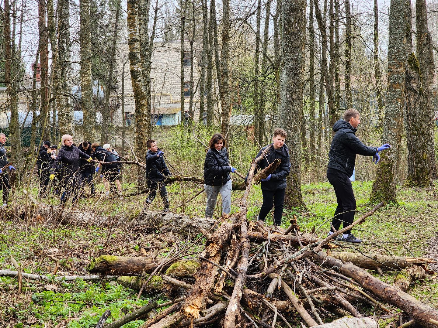 ногинск, лесопарк, Орешник, субботник, общеобластной субботник,