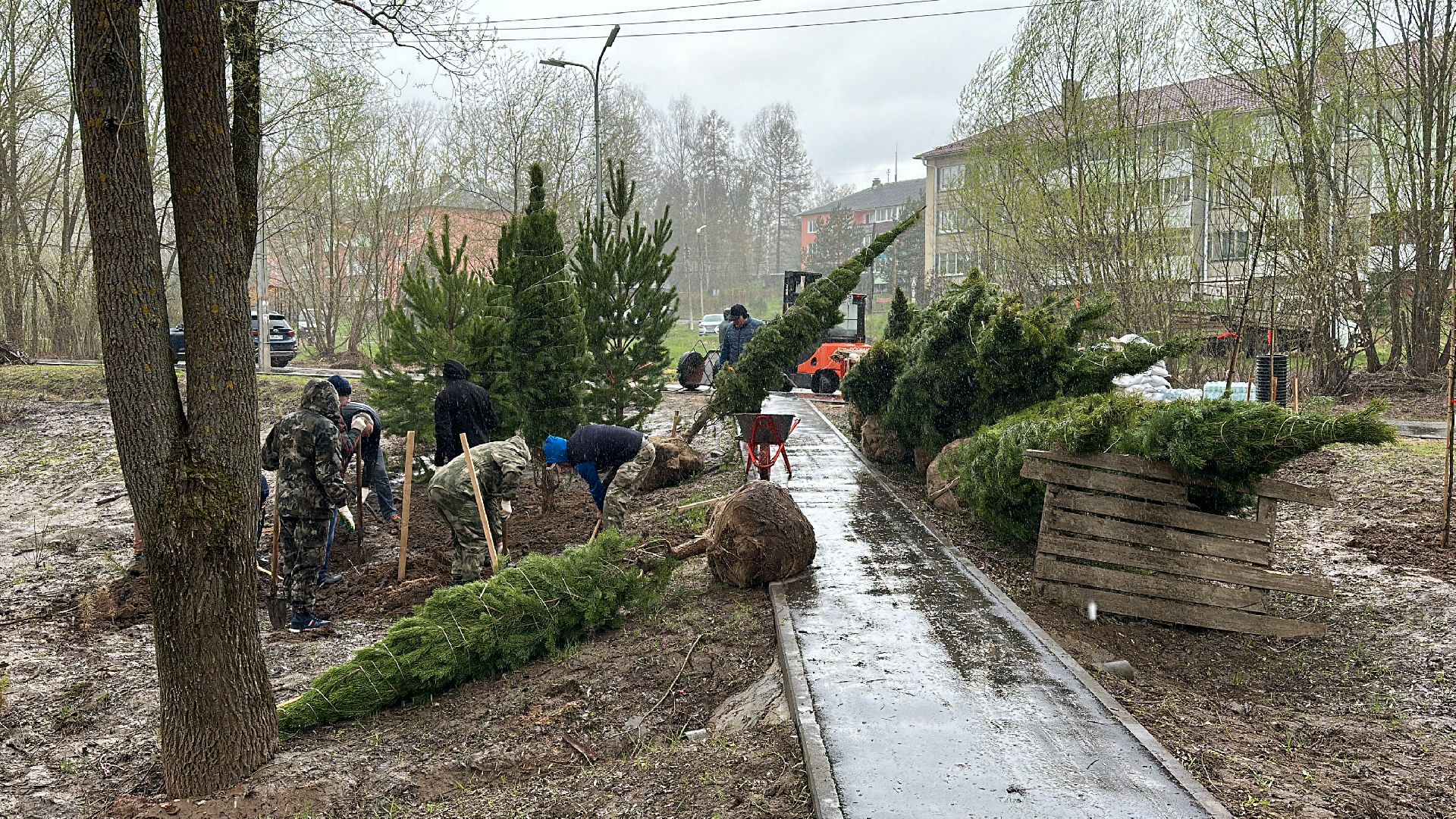 Клин, общество, благоустройство, субботники, деревья,