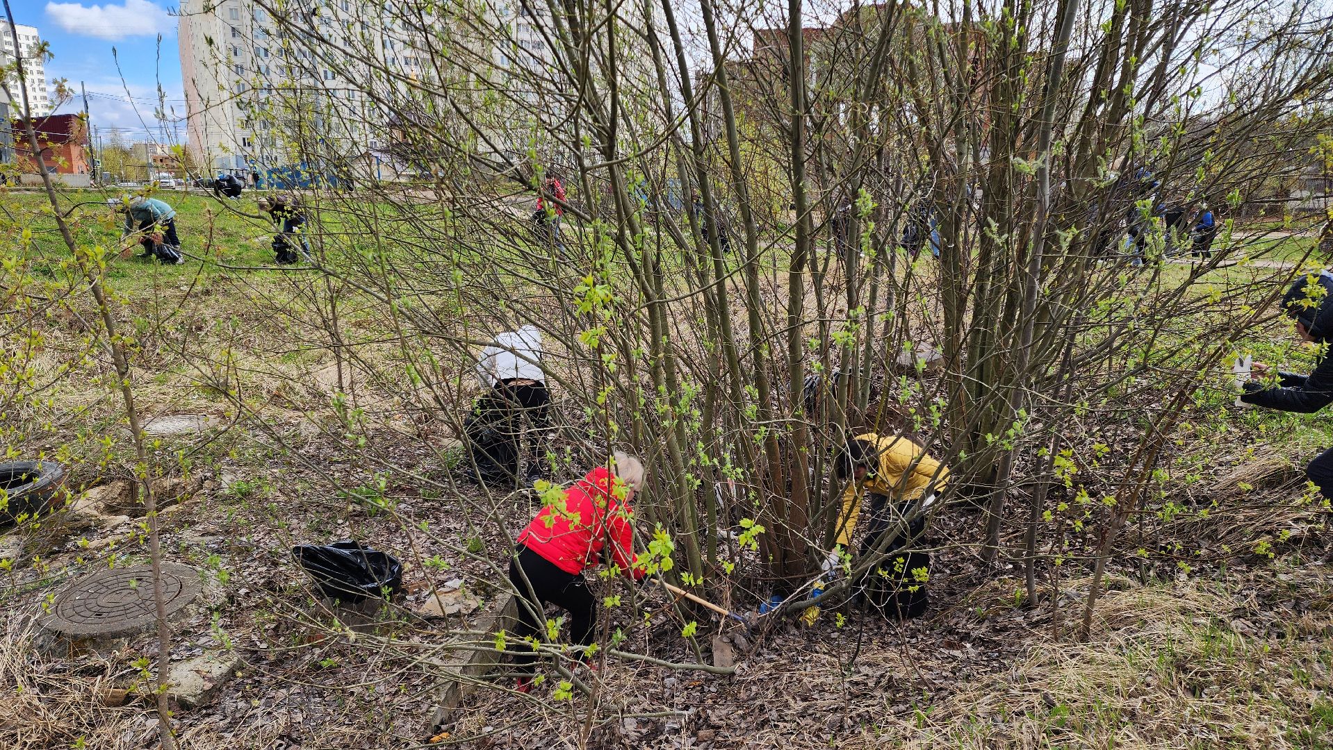 Субботник, Благоустройство, уборка территорий, уборка города,